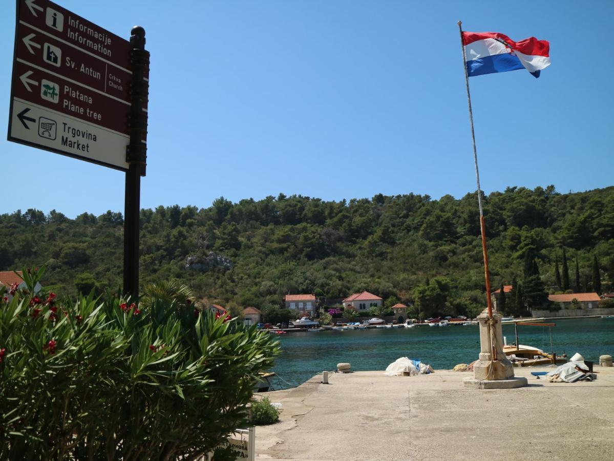 Studio Apartments & Rooms Lela, Sipan Island Šipanska Luka Екстериор снимка